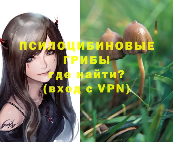 мескалин Балахна
