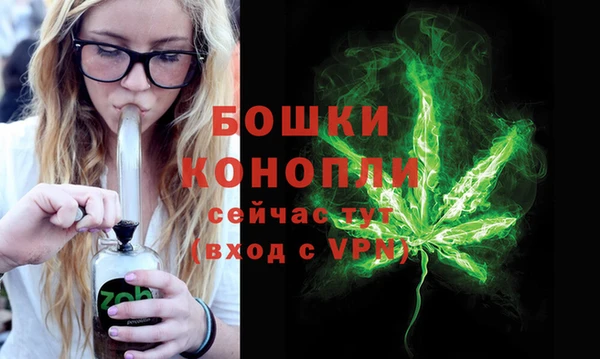 ПСИЛОЦИБИНОВЫЕ ГРИБЫ Беломорск