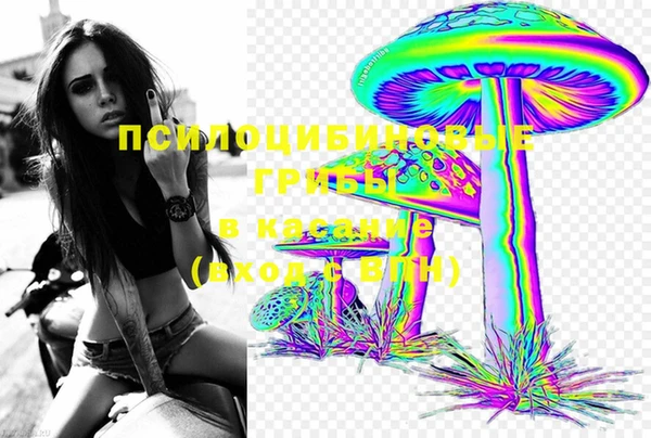 гидропоника Пестово